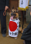 「さよなら、アルマ ～赤紙をもらった犬～」
